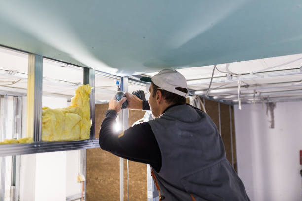 Best Fiberglass Insulation in Capac, MI