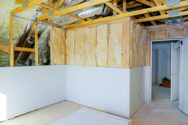 Best Cellulose Insulation in Capac, MI