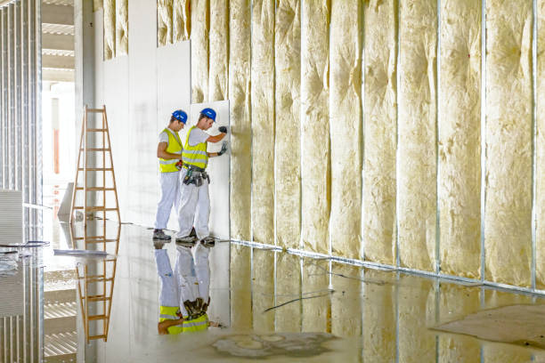 Reliable Capac, MI Insulation Contractor Solutions